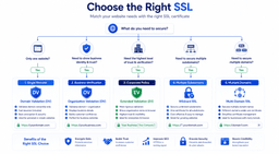 Decision guide for choosing the best SSL certificate based on website type validation needs and domain coverage