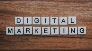 SEO & Marketing Guides for Beginners