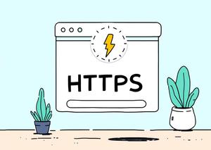Domain Validation SSL Certificates