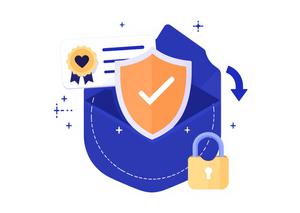 Organization Validation SSL Certificates