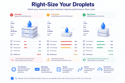 Right sizing cloud droplets based on CPU RAM storage utilization and application performance
