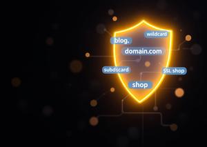 Wildcard SSL Certificates