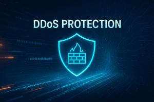 DDoS Protection