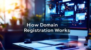 how domain registration works