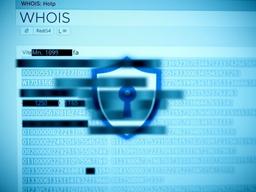 whois-privacy-example