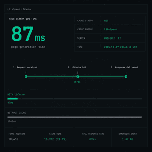 LiteSpeed LSCache server-level WordPress page caching delivering sub-100ms page generation without a caching plugin